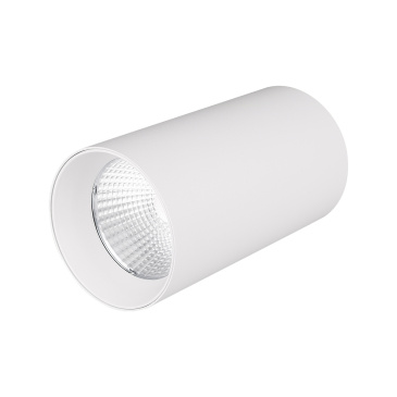 светильник  15W Белый дневной 022937 SP-POLO-R85-1 220V цилиндр накладной белый с белой вставкой