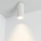 светильник   8W Белый теплый 027510 SP-POLO-SURFACE-R65  230V цилиндр  накладной белый с белой вставкой