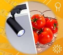 GERA и ZEUS — освещение продуктов.