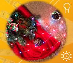 РОСА — мгновенное подключение.