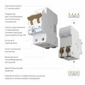 Автоматический выключатель 2-пол. 63А W902P634 C63 4,5кА
