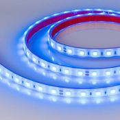 Светодиодная лента Синий 5060 24V 14.4W/m  60Led/метр герм (полная силиконовая экструзия) 036171 RTW-PFS-B60-13mm