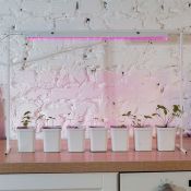 Фитосветильник  18W UL-00002992 ULI-P20-18W/SPSB WHITE линейный 560мм. для рассады и цветения IP40