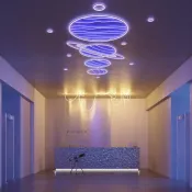 Гибкий неон   90W RGB 041016 SPI MOONLIGHT-TOP-B84-13x12mm 24V IP67