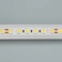 Светодиодная лента Белый дневной 5060 24V 23W/m  96Led/метр 017424(2) RT-B96-10mm 3x (480 LED) однорядная LUX