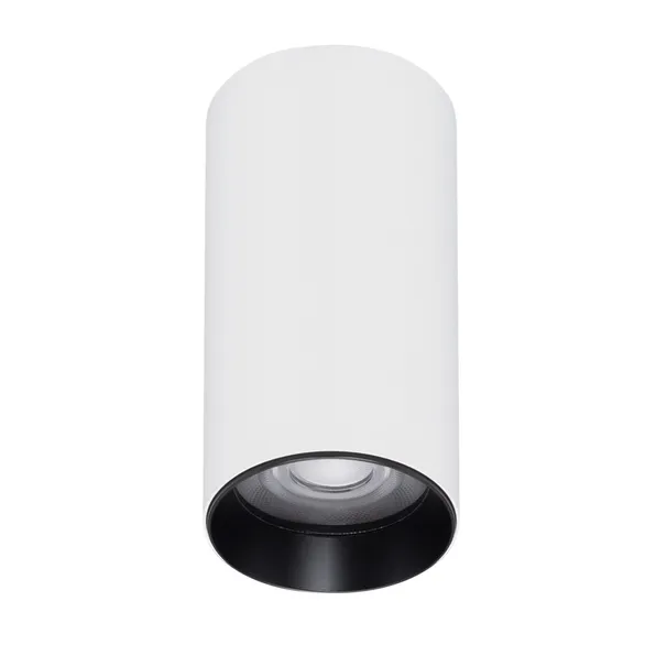 Накладной светильник  12W Белый дневной 050715 SP-GABI-SURFACE-R60-12W 36deg 220V IP40 цилиндр белый