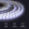 Светодиодная лента  Белый 5050 12V 14.4W/m 60Led/метр герм (силикон) 00-10 Стандарт IP65
