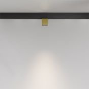 Трековый светильник  7W Белый дневной Альфа/Alfa S Exility 50deg TR133-2-7W4K-BS на магнитный шинопровод латунь