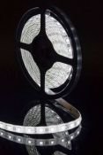Светодиодная лента Белый холодный 5050 12V 14.4W/m 60Led/метр 00-00009267 SWG560-12-14.4-W-65-M