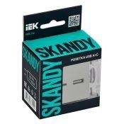 Розетка встраиваемая USB IEK SKANDY A+C 3,1А SK-U22-D31-K10 SK-R14B бежевый