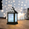 фигурка  светодиодная Декоративный фонарь RGB, 513-064, 10Led, 3хАAА, черный корпус, мерцание, IP20