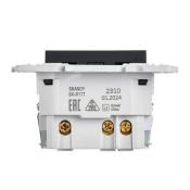 Штепсельная розетка встраиваемая IEK SKANDY 16А SK-R14-16-U14-018-K48 SK-R17T с з/к и шторками с USB A+C 18Вт титан