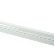 Фитосветильник  18W UL-00010567 ULI-P42-18W-SPBX WHITE линейный 560мм. спектр для рассады и цветения IP40