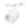 Магнитный трековый светильник  2W Белый дневной MAG-MICROCOSM-SPOT-ZOOM-R38 10-55deg 24V белый 051806