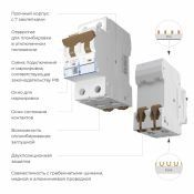 Автоматический выключатель 2-пол. 10А W902P104 C10 4.5кА