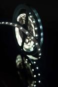Светодиодная лента Белый дневной 2835 12V  4.8W/m 60Led/метр 00-00007260 SWG260-12-4.8-NW-M