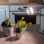светодиодная фитолампа для растений  А60 10W  UL-00007404 LED-A60-10W-SPFB-E27-CL для рассады и цветения