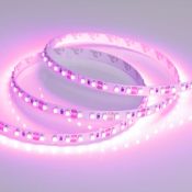 Светодиодная лента Розовый 2835 12V  9.6W/m 120Led/метр 015897(2) RT-A120  LUX