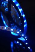 Светодиодная лента Синий 5060 12V 14.4W/m 60Led/метр 00-00009473 SWG560-12-14.4-B-M