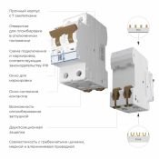 Автоматический выключатель 2-пол. 63А W902P636 C63 6кА