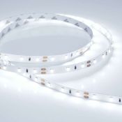Светодиодная лента Белый холодный 2835 12V  4.8W/m 60Led/метр 014884(2) RT-A60 8000K  LUX