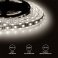 Светодиодная лента Белый дневной 5050 12V 14.4W/m 60Led/метр 00-129 Стандарт 10мм IP20 Светодиодная лента Белый дневной 5050 12V 14.4W/m 60Led/метр 00-129 Стандарт 10мм IP20