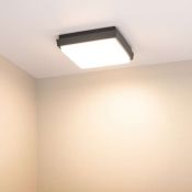 светильник  10W Белый теплый 029951 LGD-AREA-S175x175 220V IP54 квадратный накладной серый