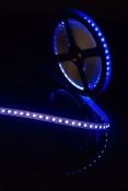 Светодиодная лента Синий 2835/3528 12V  9.6W/m 120Led/метр 00-00009466 SWG3120-12-9.6-B-M