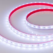 Светодиодная лента RGB 5060 24V 14.4W/m  60Led/метр герм (силиконовая трубка) 021400(2) RTW-PS-B60  LUX IP67