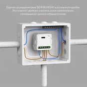 Реле-выключатель DENKIRS RL1002-SM 2х250W двухканальное Wi-Fi