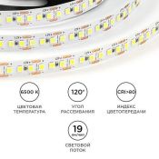 Светодиодная лента Белый 2835 12V 14.4W/m 180Led/метр LSE-264 Эконом 10мм IP20