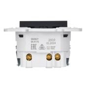 Штепсельная розетка встраиваемая IEK SKANDY 16А SK-R14-16-U14-018-K53 SK-R17G с з/к и шторками с USB A+C 18Вт графит
