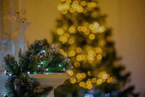 Какой цвет гирлянды лучше: теплый или холодный? Полное руководство по праздничному освещению