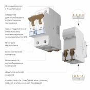 Автоматический выключатель 2-пол. 50А W902P506 C50 6кА