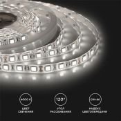 Светодиодная лента  Белый дневной 5050 12V 14.4W/m 60Led/метр герм (силикон) 00-144 Стандарт IP65