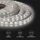 Светодиодная лента  Белый дневной 5050 12V 14.4W/m 60Led/метр герм (силикон) 00-144 Стандарт IP65