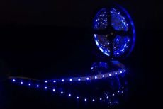 Светодиодная лента Синий 2835/3528 12V  4.8W/m 60Led/метр 00-00009469 SWG360-12-4.8-B-M