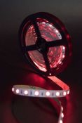 Светодиодная лента RGB 5050 24V 14.4W/m 60Led/метр 009271 SWG560-24-14.4-RGB-M