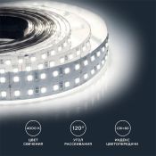 Светодиодная лента Белый днвной 2835 24V 38W/m 240Led/метр 00-315 PRO 20мм IP20 Светодиодная лента Белый днвной 2835 24V 38W/m 240Led/метр 00-315 PRO 20мм IP20