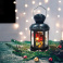 фигурка  светодиодная Декоративный фонарь с шариками  Белый теплый, 513-061, 220V, 12Led, 3хАAА, черный корпус, IP20