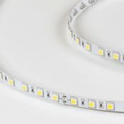 Светодиодная лента Белый 5050 24V 14.4W/m 60Led/метр 00-00006319 SWG560-24-14.4-W 6500K