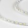Светодиодная лента Белый 5050 24V 14.4W/m 60Led/метр 00-00006319 SWG560-24-14.4-W 6500K
