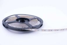 Светодиодная лента Синий 3528 12V  9.6W/m 120Led/метр герм (силикон) 00-000070 SWG3120-12-9.6-B-65