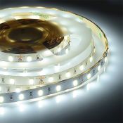 Светодиодная лента Белый 5630 24V 22W/m 60Led/метр 00-312 PRO 10мм IP20 Светодиодная лента Белый 5630 24V 22W/m 60Led/метр 00-312 PRO 10мм IP20