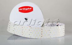 Светодиодная лента Белый дневной 2835 24V 44W/m 350Led/метр 019081 RT 2-2500 4000K (2.5м) LUX