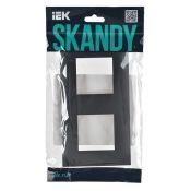 Рамка пластик 2 поста IEK SKANDY SK-M22-K48 SK-F02T титан