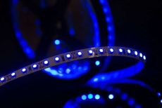 Светодиодная лента Синий 2835/3528 12V  9.6W/m 120Led/метр 00-00009466 SWG3120-12-9.6-B-M
