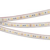 Светодиодная лента Белый 5060 12V 14.4W/m 60Led/метр герм (силикон, экструзия) 022323(2) RTW-PS-B60-12mm