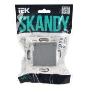 Штепсельная розетка встраиваемая IEK SKANDY 16А SK-R16-16-44-K03 SK-R11Gr с з/к без з/ш и крышкой серый IP44