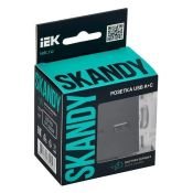 Розетка встраиваемая USB IEK SKANDY A+C 18Вт SK-U22-018-K02 SK-R13Bl черный